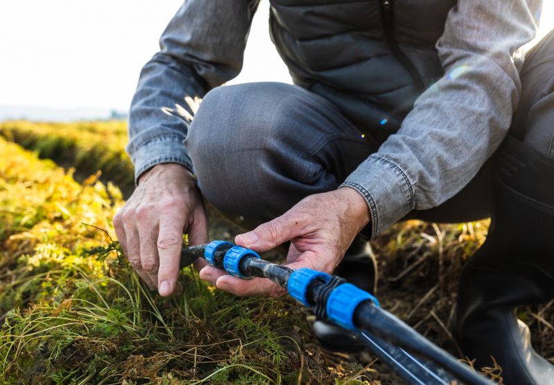 Maintenance and Inspection